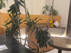 -fishtank鱼缸咖啡(三山街店)