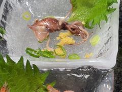 -沼津魚がし鮨(御殿場アウトレット店)