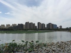 -南翔镇银翔湖公园