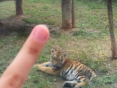 -石家庄市动物园