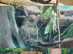 -杭州野生动物世界