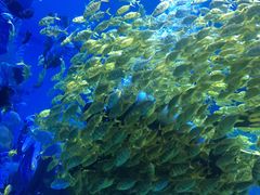 -波塞冬旅游度假区