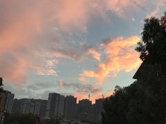 -万州大虾(五桥店)