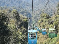 -野象谷景区