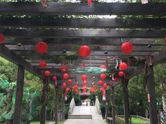 -白马涧龙池景区