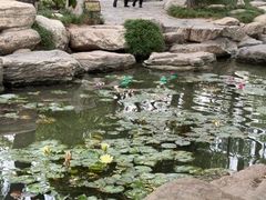 -华清宫景区