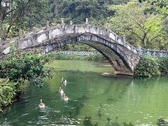 -靖西鹅泉风景区