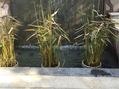 iphone_upload_pic-天目湖涵田度假村