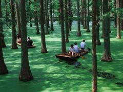 -渌洋湖湿地公园