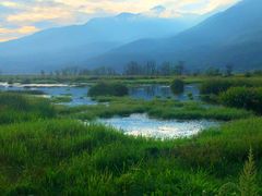 -腾冲北海湿地
