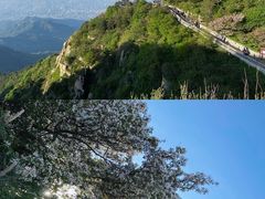 -泰山风景名胜区