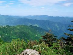 -牛背梁国家森林公园