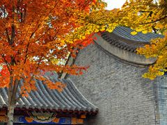 -护国法轮寺