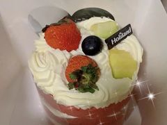 -大麦嘉动物奶油生日蛋糕(军分区新建北路店)