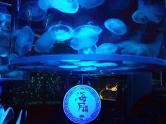 -大明湖海底世界