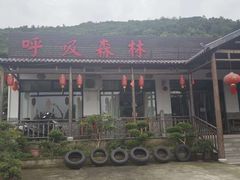 -呼吸森林·生态农庄农家乐私房菜