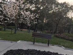 -徐家汇源景区-衡山公园