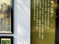 -成都市活水公园
