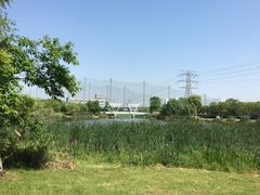-九里河湿地公园
