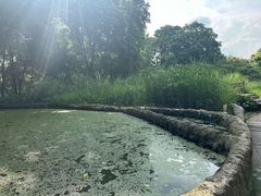 -成都市活水公园