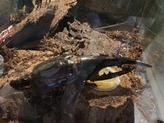 -太平洋海底世界