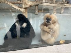-太原动物园