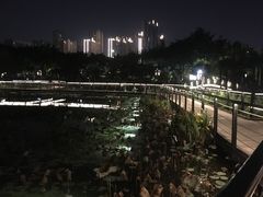-映月湖公园
