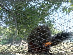 -苏州太湖西山岛开心农场