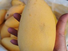 -上海龙吴水胜海发市场