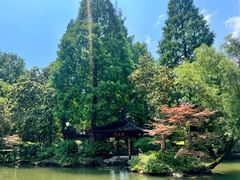 -杭州植物园