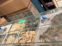 鲜活海鲜-盐城万豪酒店-盐城厨房西餐厅