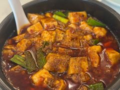 -陈麻婆豆腐总店