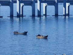 -星海湾跨海大桥