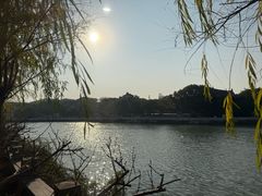 -八大山人梅湖景区