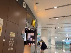 -麦当劳(北京大兴机场二层国内到达(安检外)店)