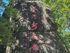 -汤旺河林海奇石景区