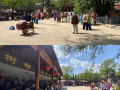 -大槐树寻根祭祖园