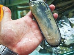 -班赞海鲜市场