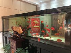 -雅和生态渔庄·宜城锅巴饭(龙灵山公园店)