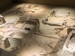 -洛阳周王城天子驾六博物馆