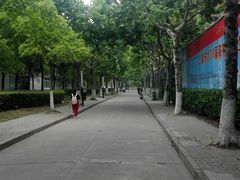 -上海第二工业大学(金海路校区)