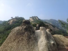 -大岭沟猕猴桃谷风景区