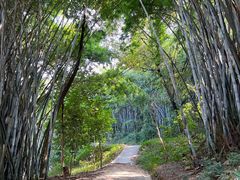 -广州市白云山风景名胜区