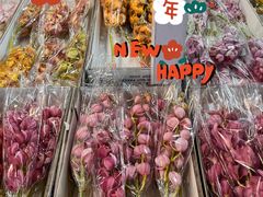 -金汇四季广场