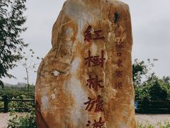 -东寨港红树林旅游区