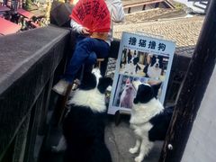 -老地方猫儿面(磁器口店)