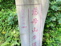 -南山植物园
