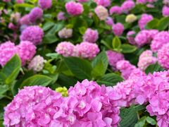 -常州古运河南大街文化旅游区-人民公园