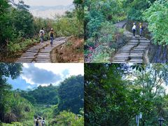 -阳台山森林公园