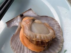 -巧克力渔家.小船海鲜胶东菜(万平口店)